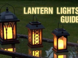 lantern lights guide