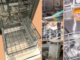 how to clean my dishwasher