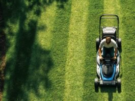choosing the right lawn mower buying guide
