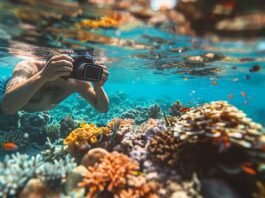 Beginner underwater photographer capturing colorful marine life in clear water using a compact camera
