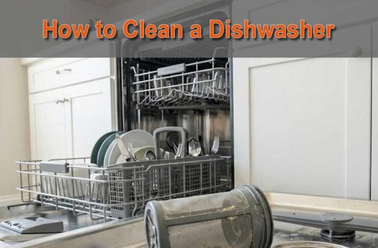 how to clean a dishwasher filter and spray arms step by step